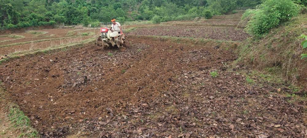 Agriculture by Founder